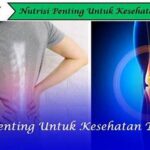 Nutrisi Untuk Kesehatan Tulang