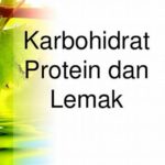 Proporsi Ideal Karbohidrat Dan Protein