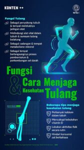 “rekomendasi Olahraga Ramah Tulang Sehat”