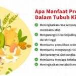 Manfaat Protein Bagi Tulang Kuat