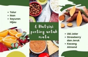 Nutrisi Pendukung Penglihatan Tajam.