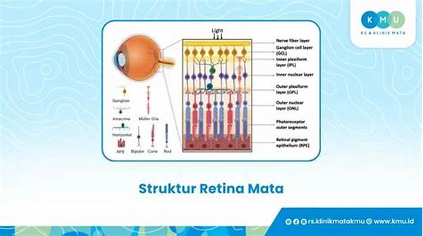 Pengaruh Lutein Terhadap Struktur Retina