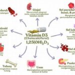 “pengaruh Vitamin D Terhadap Kesehatan Jiwa”