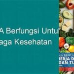 Pentingnya Vitamin A Untuk Imun.