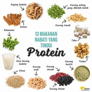 Sumber Protein Untuk Diet Optimal