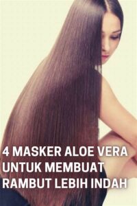 Aloe Vera Untuk Perawatan Rambut
