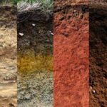 Inspirasi Warna Tanah Natural