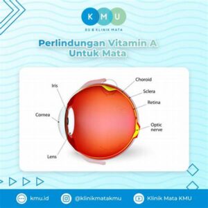 Keuntungan Vitamin A Bagi Retina Mata