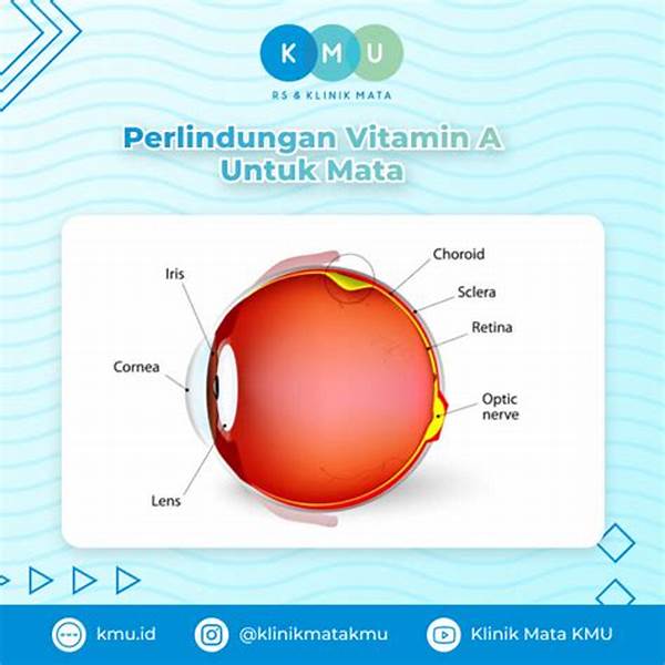 Keuntungan Vitamin A Bagi Retina Mata