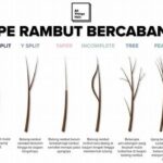 Menghindari Rambut Bercabang Parah