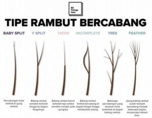 Menghindari Rambut Bercabang Parah