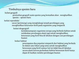 Habitat Alami Spesies Baru