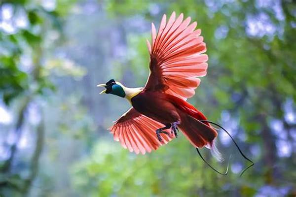 Pelestarian Fauna Unik Indonesia