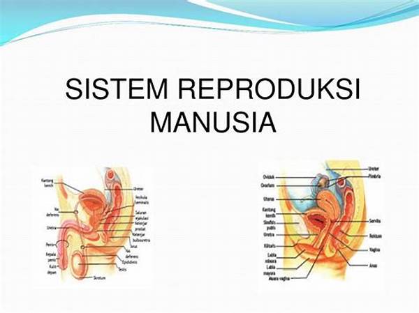 Teknik Mencuci Organ Reproduksi