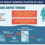 Efek Jangka Panjang Mikroplastik Biota Laut