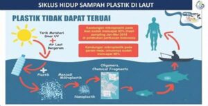 Efek Jangka Panjang Mikroplastik Biota Laut