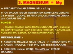Pentingnya Magnesium Dalam Metabolisme Tulang