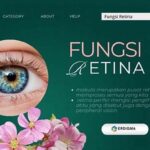 Dampak Vitamin A Pada Retina