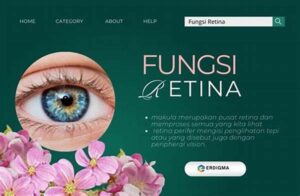 Dampak Vitamin A Pada Retina