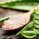 Kandungan Nutrisi Aloe Vera