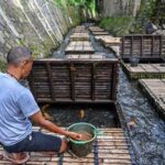 Pemanfaatan Sungai Untuk Listrik.