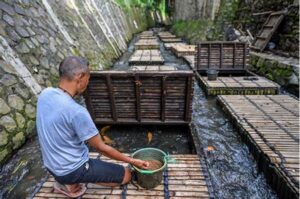 Pemanfaatan Sungai Untuk Listrik.